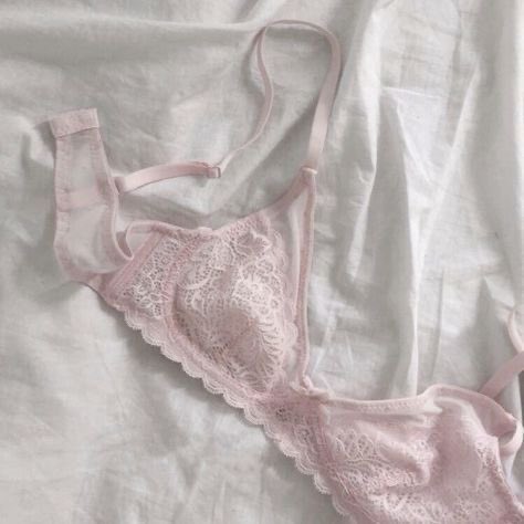 echo 🖤 tweet media