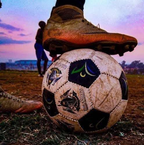 Os 🧘🏾‍♂️ tweet media