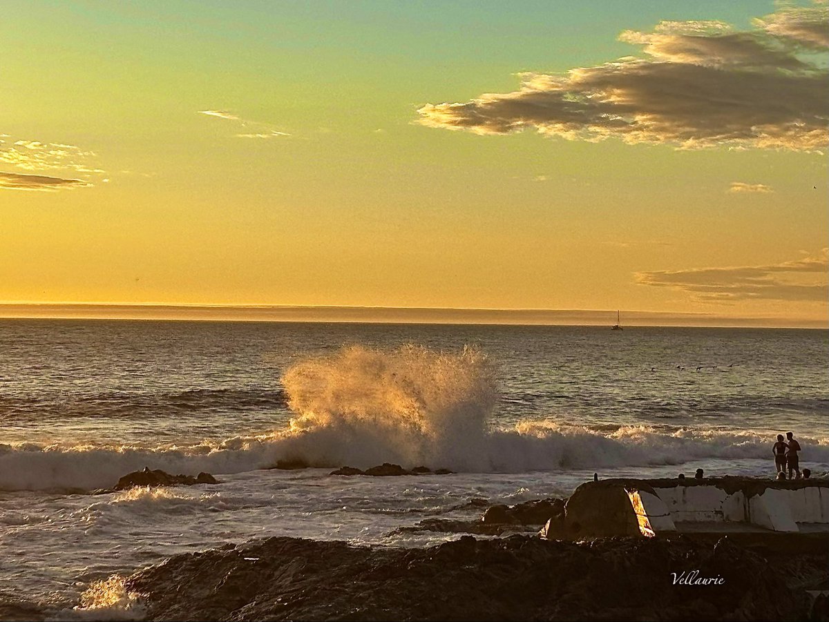 Vijay Ellaurie tweet media