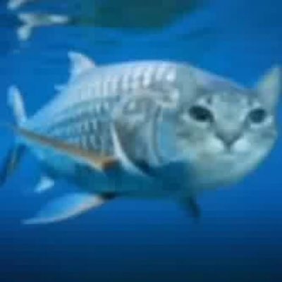 Lee 물.com.kr tweet media