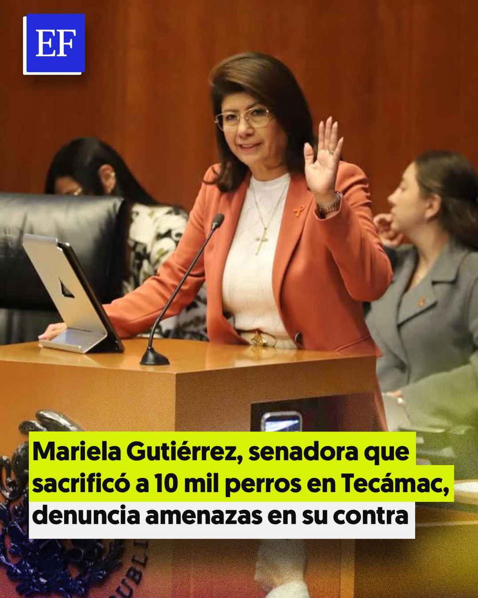 ElFinanciero_Mx's tweet image. Tras darse a conocer que sacrificó a 10 mil perros, la senadora de #Morena, Mariela Gutiérrez, afirma que las reacciones en su contra “tienen un trasfondo político”

tinyurl.com/2jmr2z78