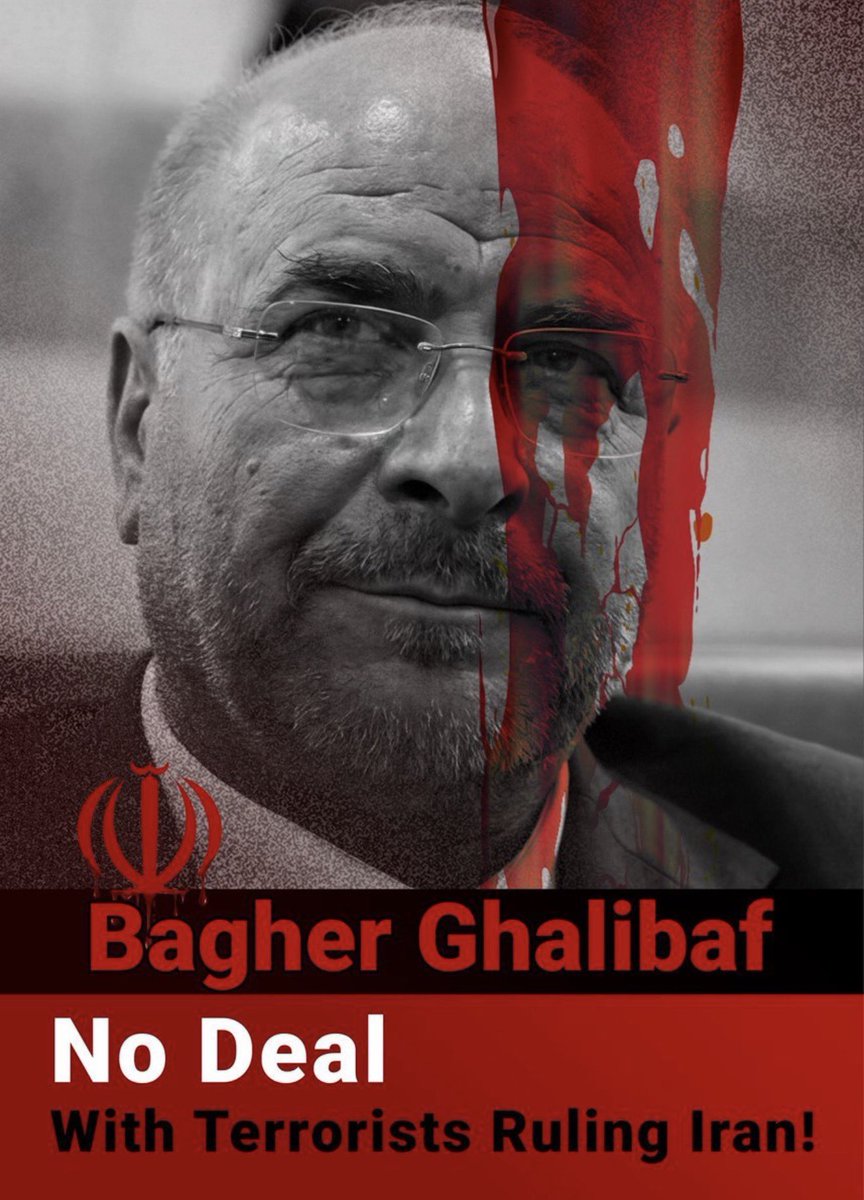 🇮🇷Sanam Vatandoust🇮🇷 tweet media