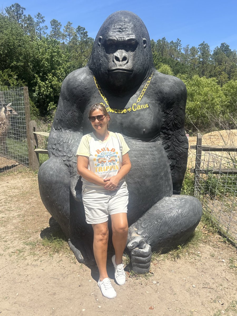 FloridaGoldRea1's tweet image. It’s an apetastic kind of day. #AMC may be down but it’s just having a break.
Added some this morning and saw some apes in the wild on a day trip with my Mom. #YOLO  #Florida @SCCitrus #FloridaDayTrippin #ApesTogetherStrong #AMC4Life