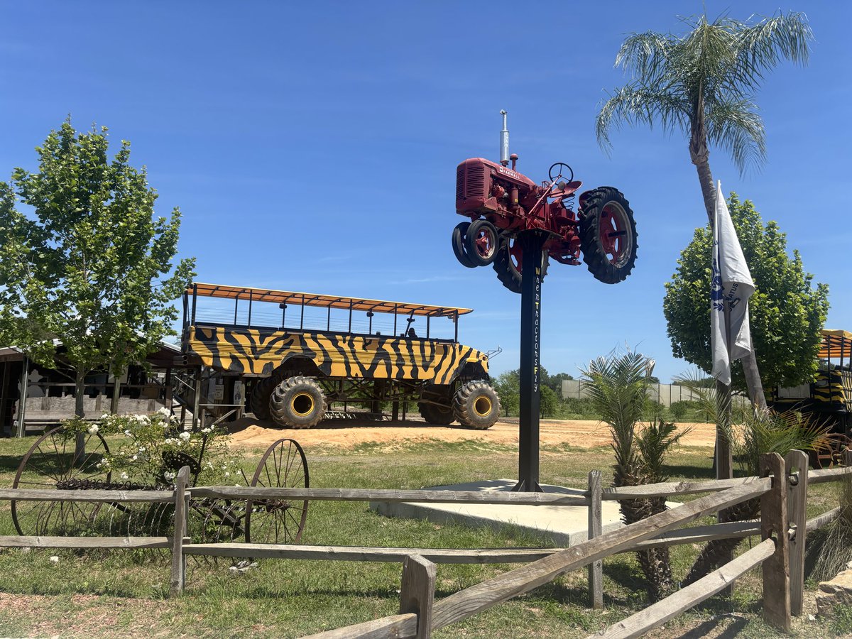 FloridaGoldRea1's tweet image. It’s an apetastic kind of day. #AMC may be down but it’s just having a break.
Added some this morning and saw some apes in the wild on a day trip with my Mom. #YOLO  #Florida @SCCitrus #FloridaDayTrippin #ApesTogetherStrong #AMC4Life