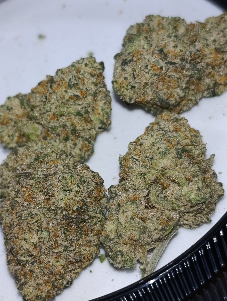 vatoslocoscdmx's tweet photo. Lo mejor de lo mejor en la zona #Oriente 🤝

Promos disponibles para el #420mx y los mejores precios en relación calidad-precio 🇲🇽

Solo con los compas de @DispensarioDF por cierto siguenos para participar en nuestro #Giveaway420 🤙

#CDMX #drugtwt #drugstwt #710mx #Donas #weed https://t.co/Uw64s2BjFp