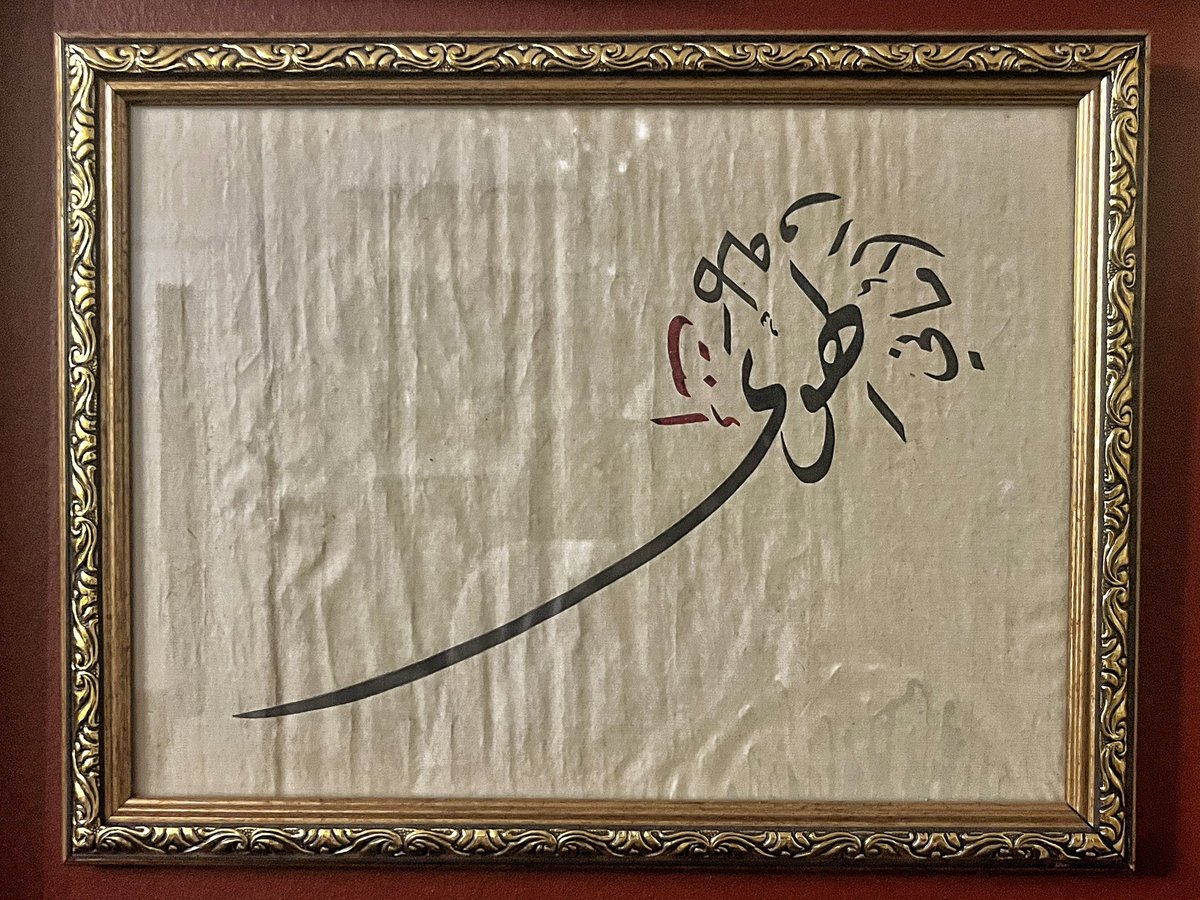 آلاء هاشم tweet media