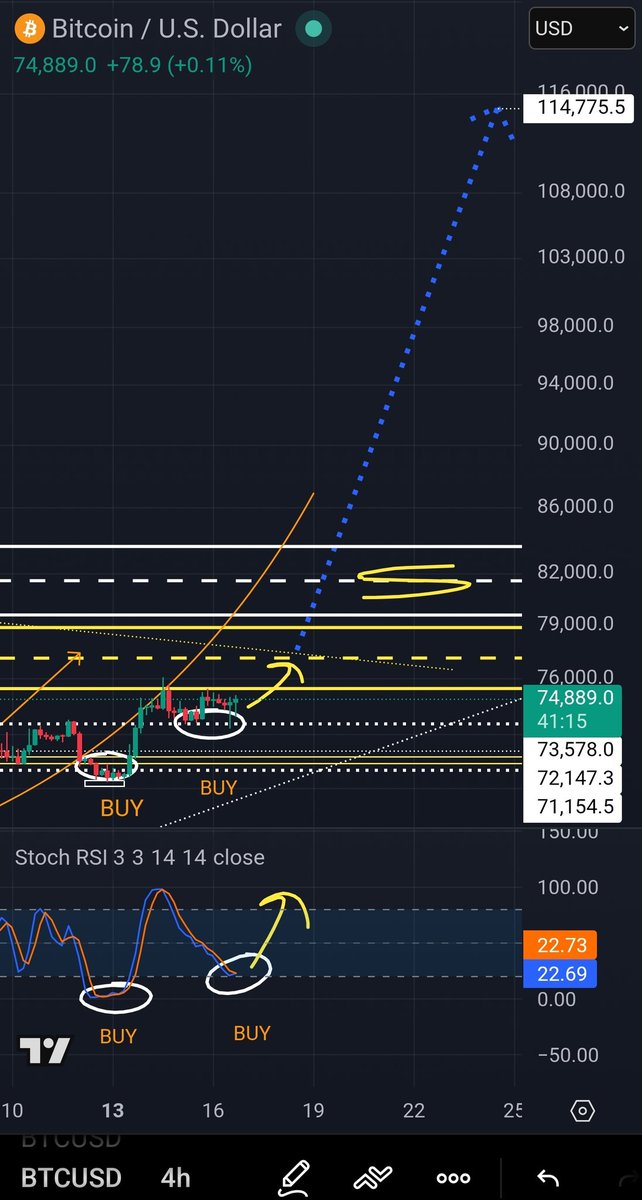 CryptoRell Ⓜ️🕸️ tweet media