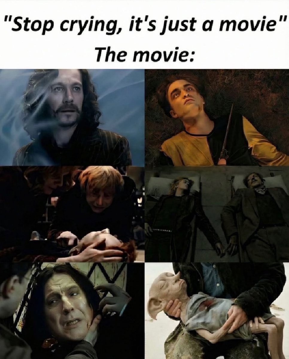 TheDailyHPotter's tweet photo. It’s not just a movie 😢💔 https://t.co/r74ra5tw7j