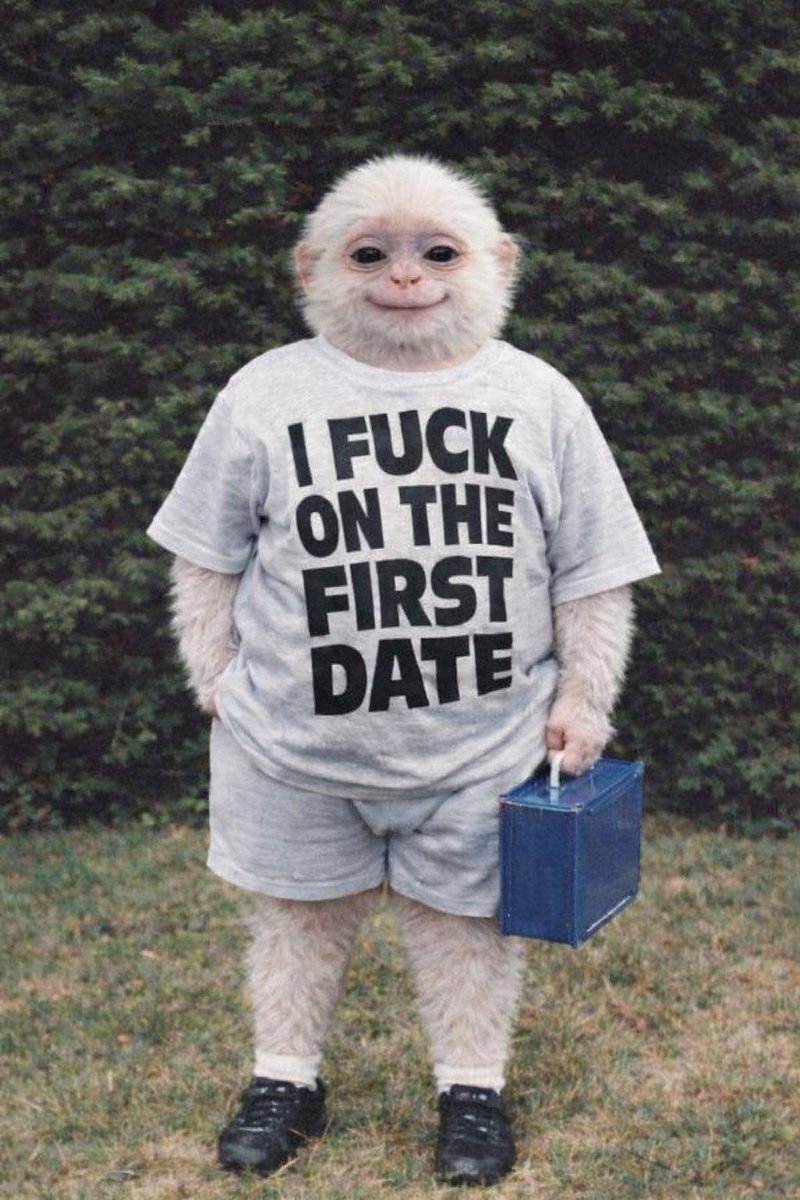 aryan monkey tweet media