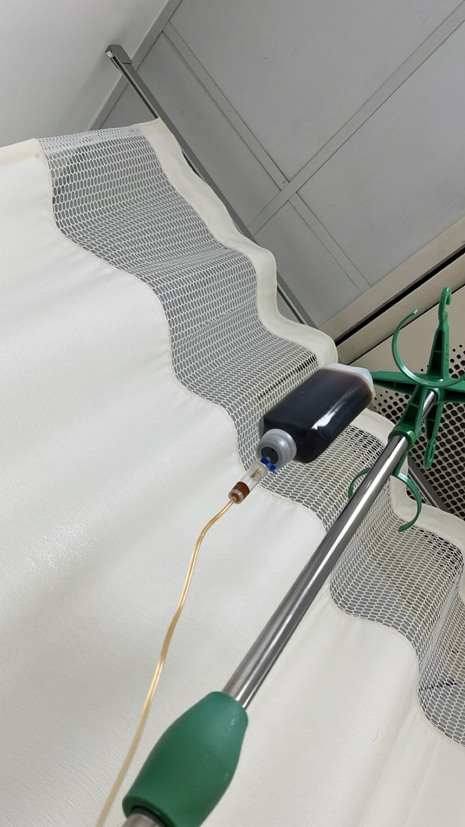 🎀🍉 tweet media