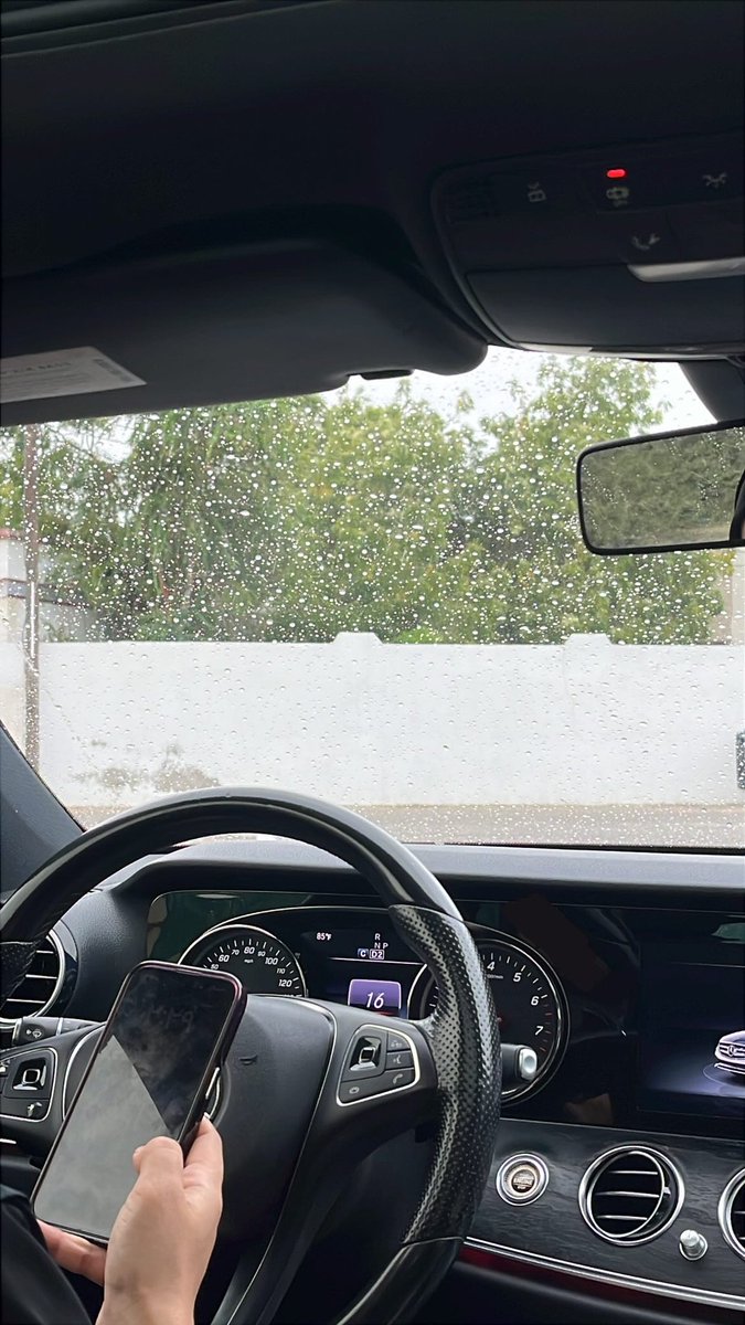 🎀🍉 tweet media