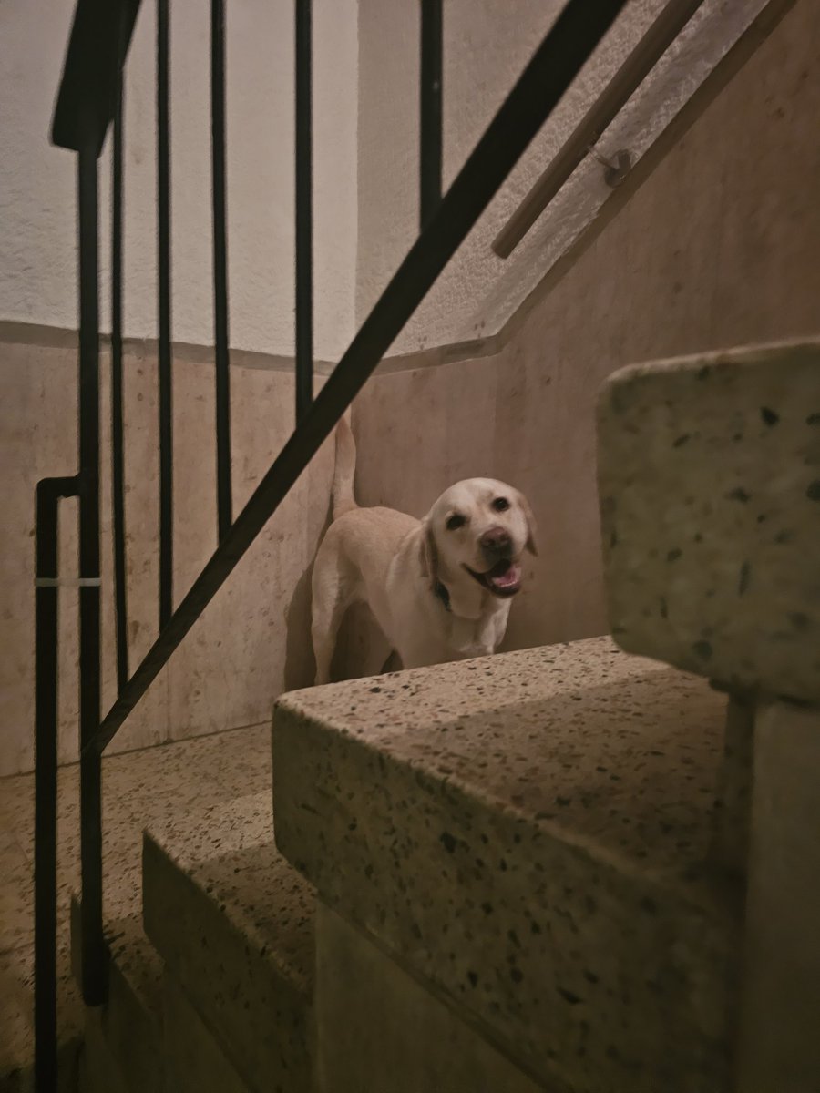 להקת אַבּוּ-חוואייג' ולהקתו tweet media