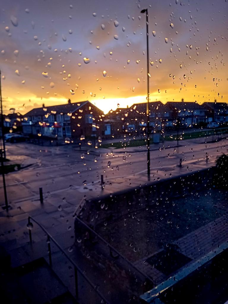 Caroline Caz Powell. tweet media