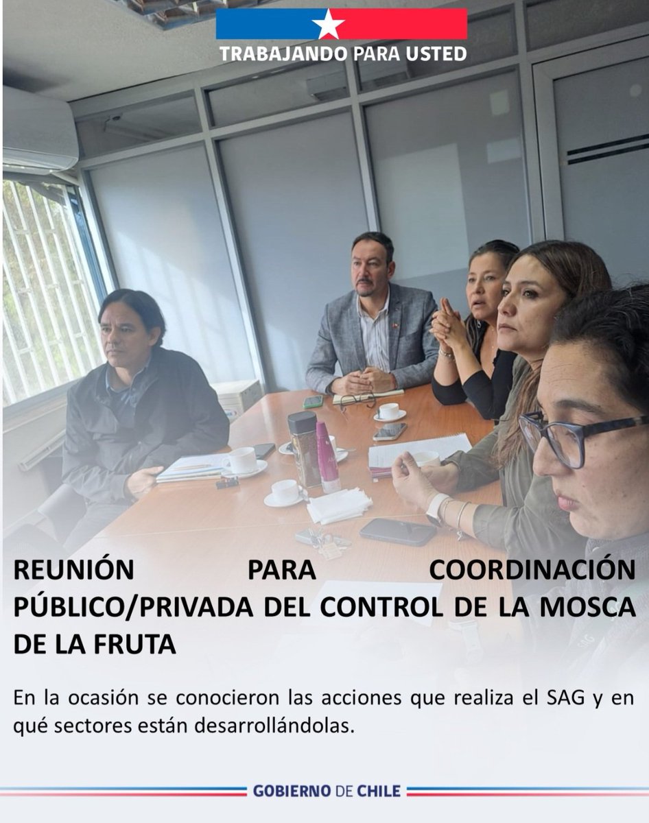 MinagriAtacama's tweet photo. 🪰🍌🍋 Seremi Guillermo Procuriza Naim, junto a la Directora Regional (S)  @sagatacama, Mei Maggi Achu, la gerente de la Asociación de Productores y Exportadores del valle de Copiapó, APECO, coordinan acciones para el control de Mosca de la Fruta en #Copiapó https://t.co/7w1AkhD763