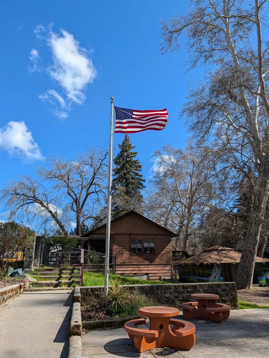 San Lorenzo Valley Post tweet media