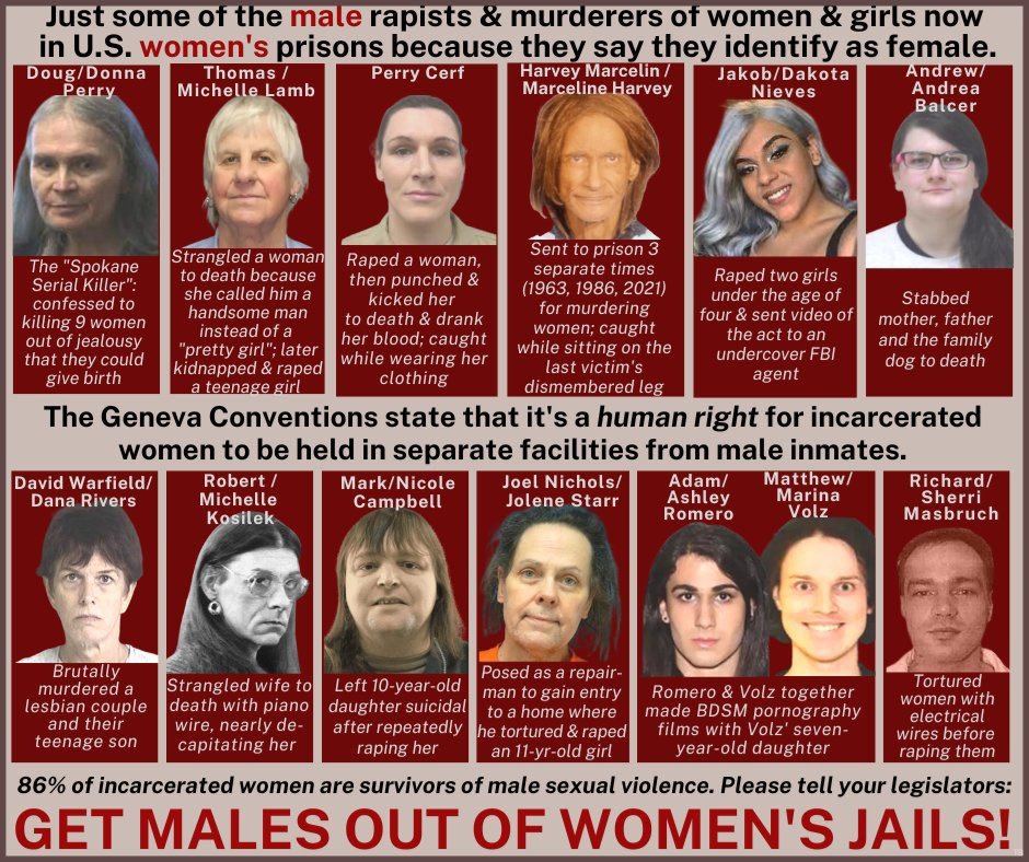 Michelle tweet media