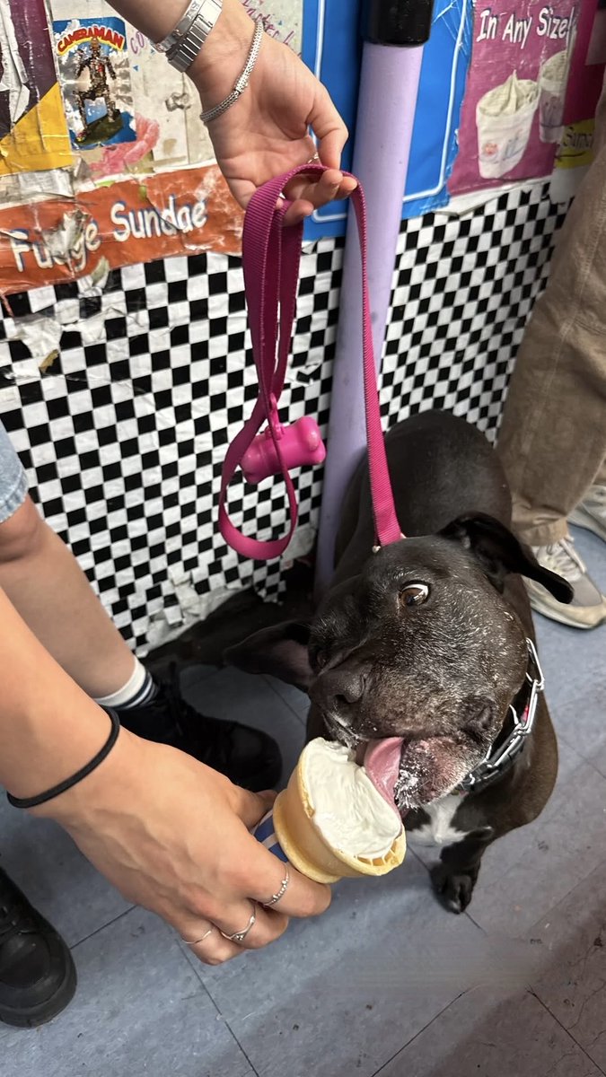 Ray's Candy Store tweet media