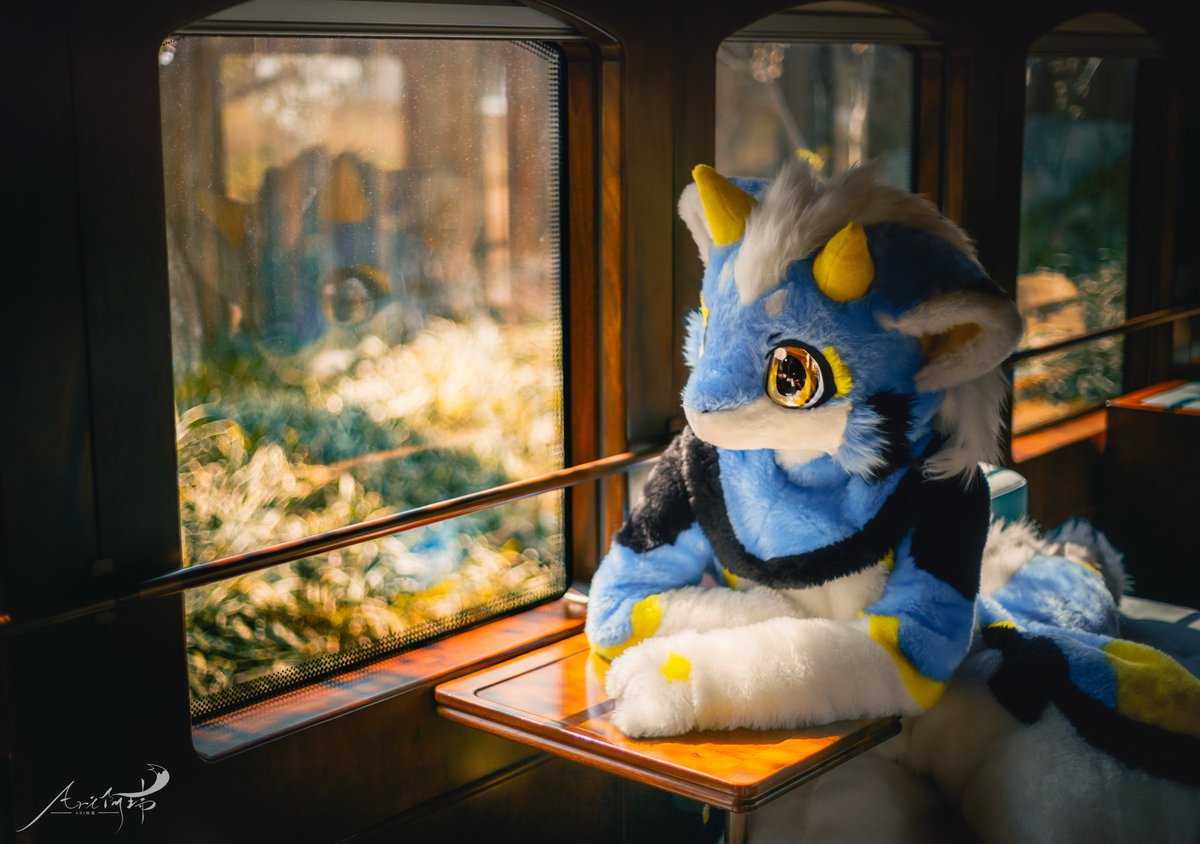 Classmate_Kui's tweet photo. 窓辺の可愛いお客さまは森の静かな物語を眺めていました💙

#FursuitFriday
📷@FurryCineDream https://t.co/OSwb2wzLbd