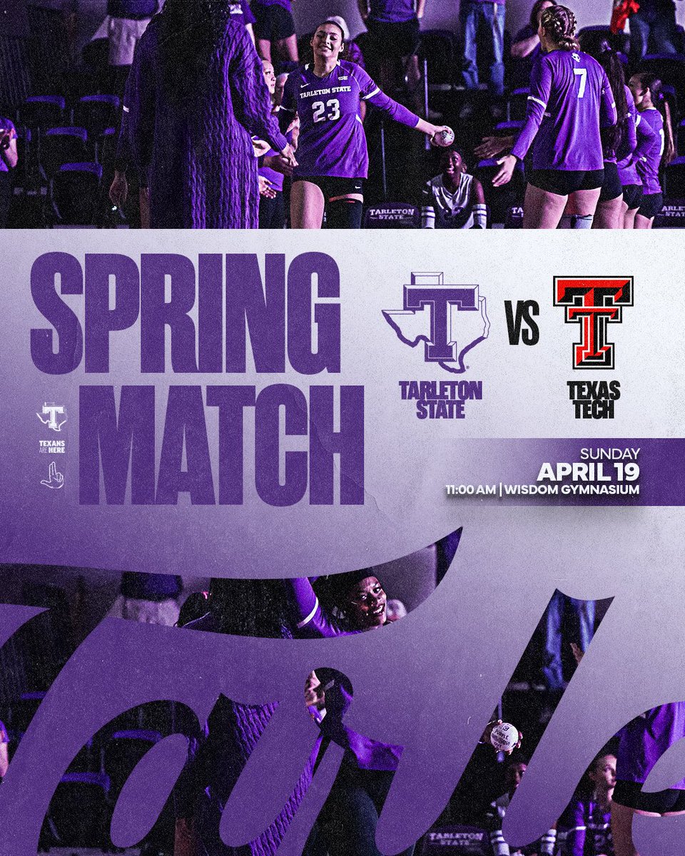 Tarleton State Volleyball tweet media
