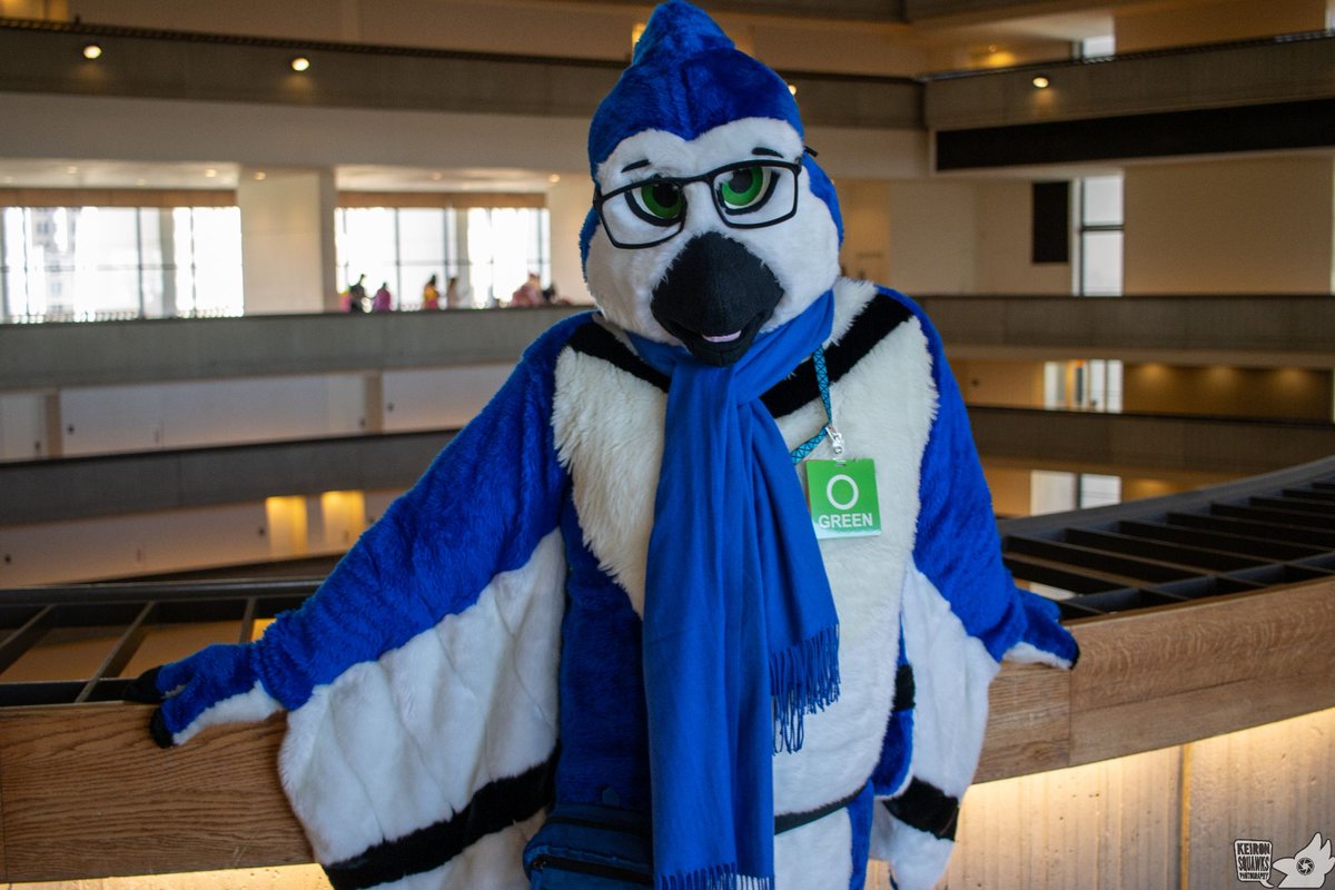 Howie🔜FWA 🐦 tweet media