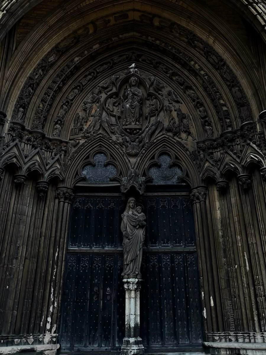 𝖁𝖆𝖒𝖕𝖞𝖗𝖎𝖆 𓋹 tweet media