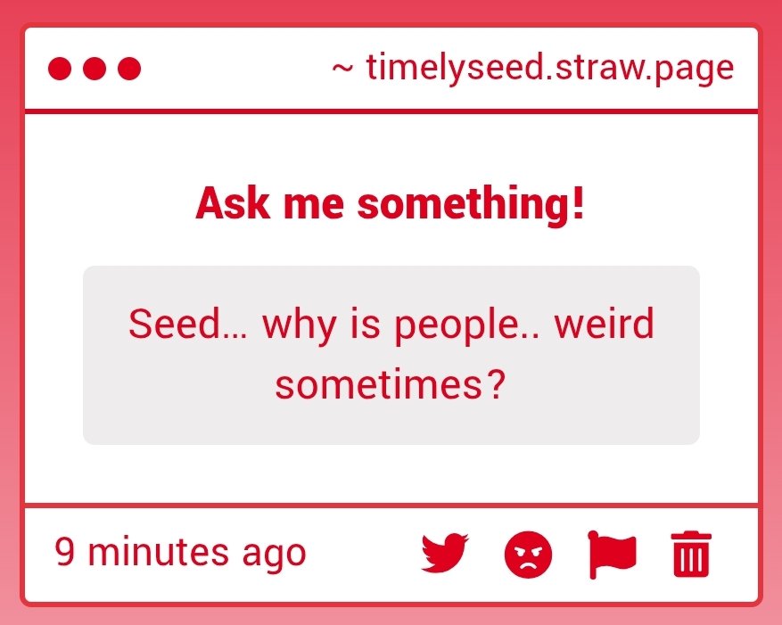 Timely Seed🌷 tweet media