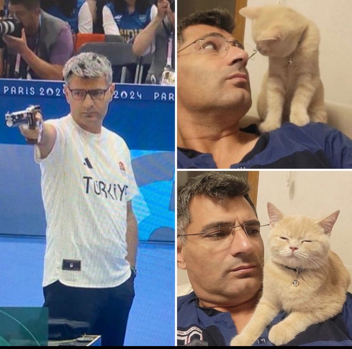 cats with powerful impression 🐾 tweet media