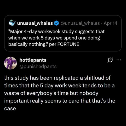 michael e. v. knight tweet media