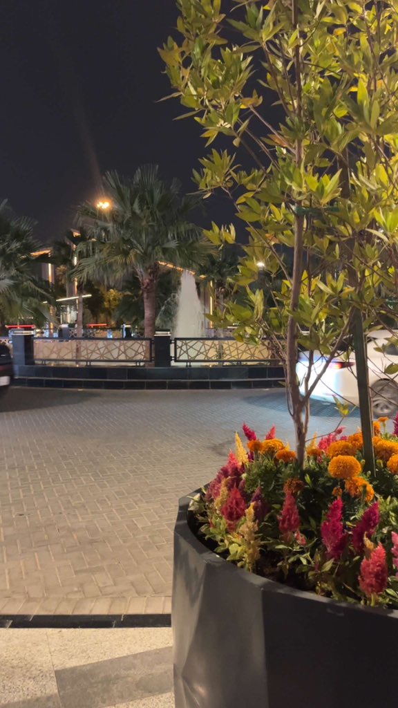 إلهام الشمراني🇸🇦 tweet media