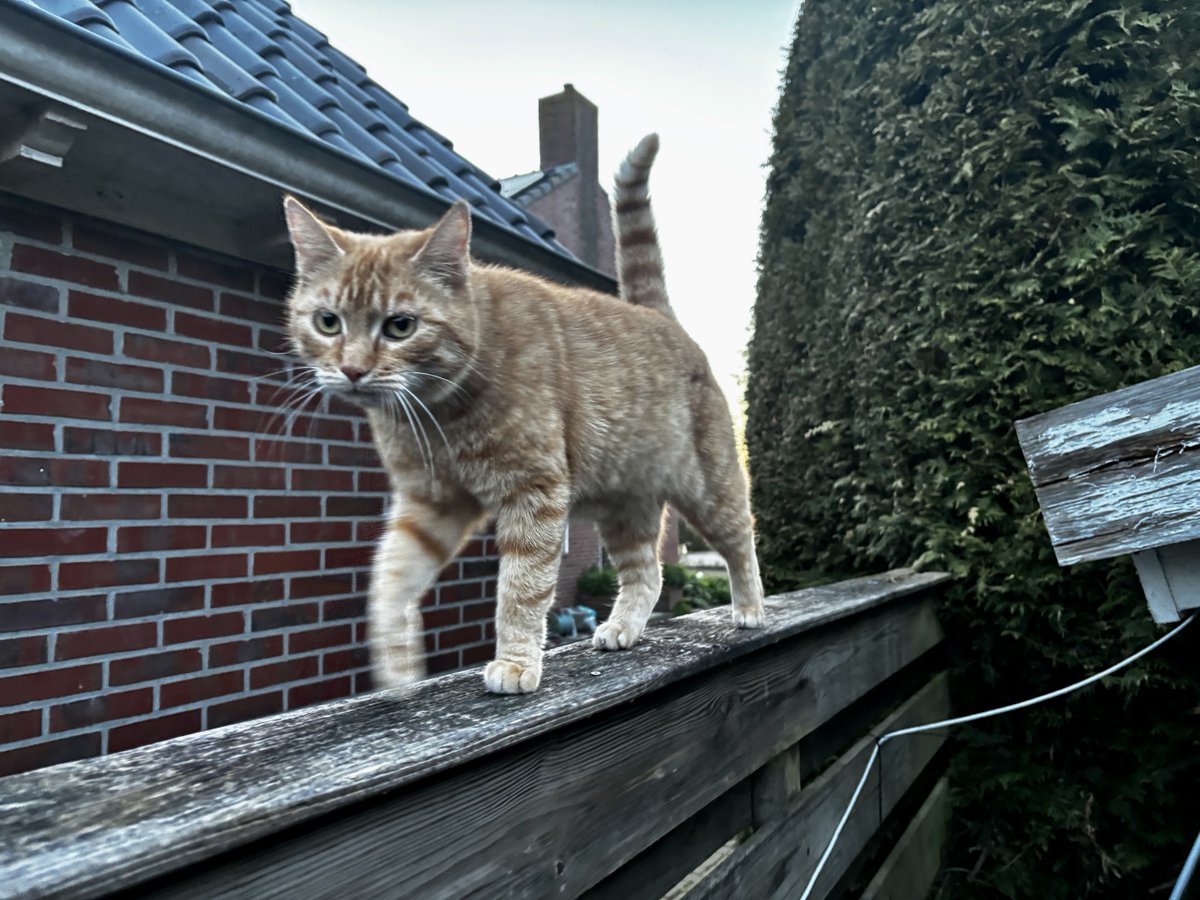 Tammar 🐦 tweet media