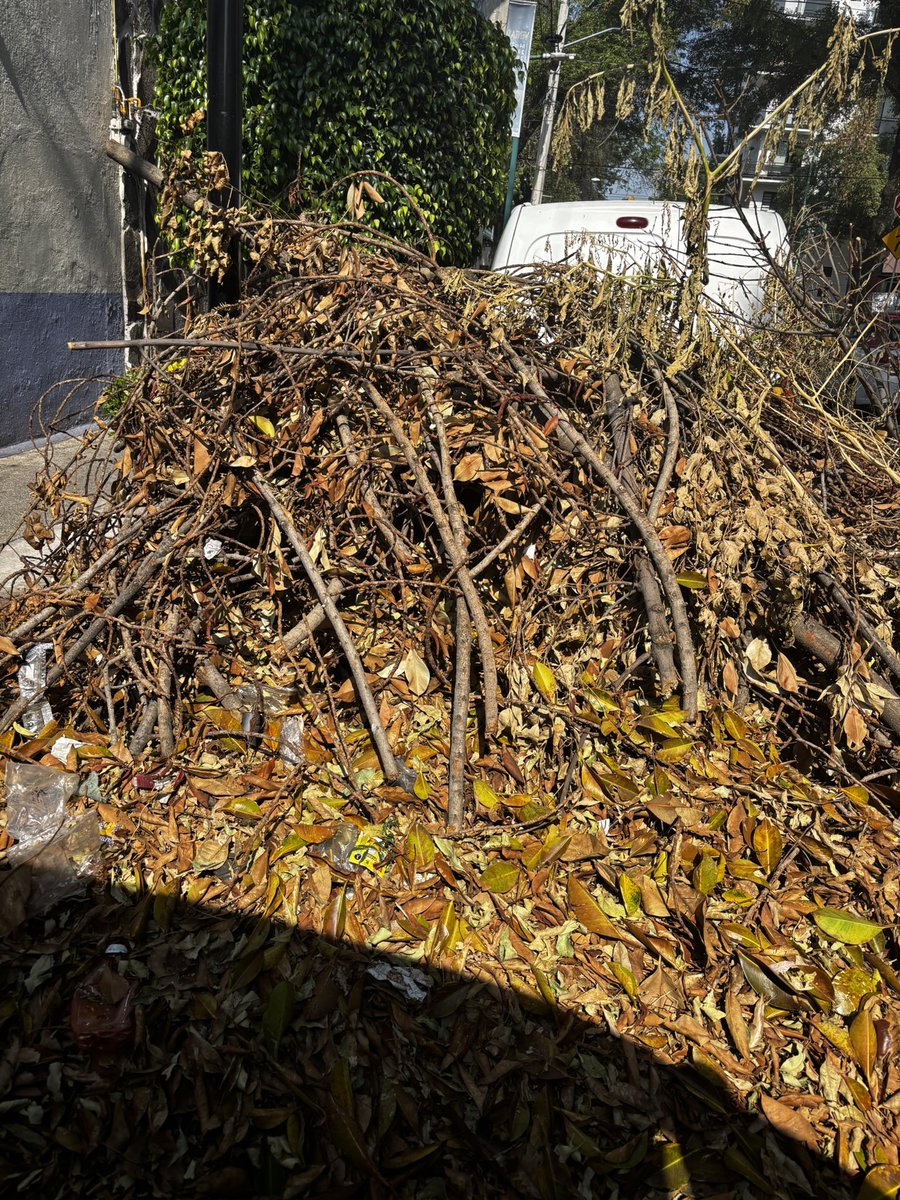 AzminPlatas tweet media