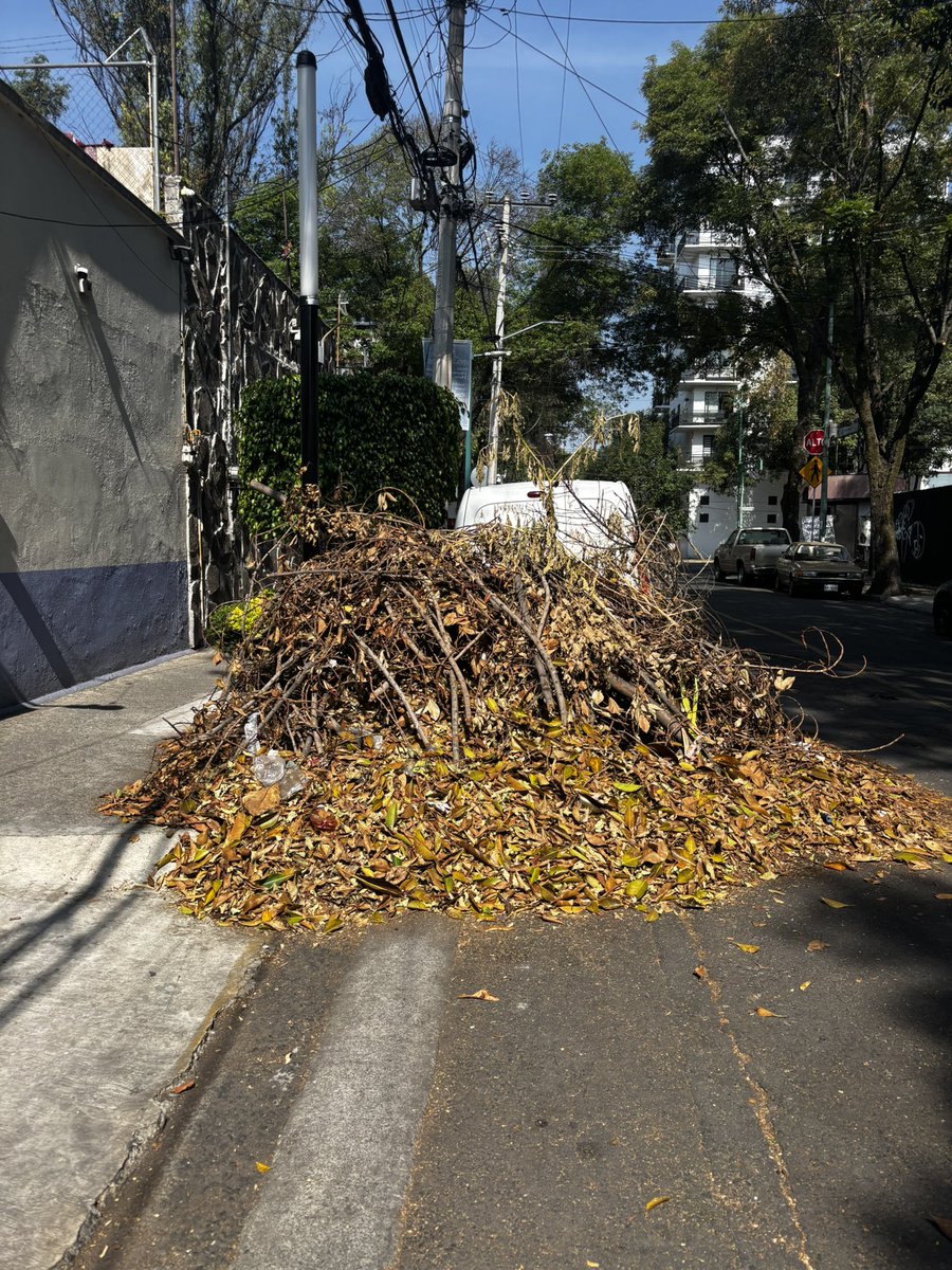 AzminPlatas tweet media