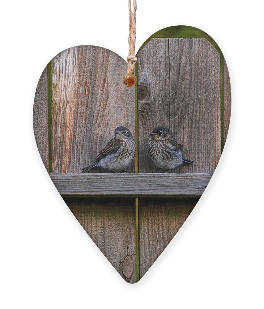 Judy Vincent Photography tweet media