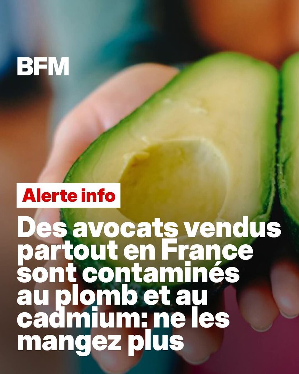 Ⓜ️HANNAH 🇫🇷 Sioniste 🇮🇱FRANCO ISRAÉLIENNE tweet media