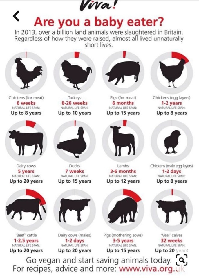 Broco Loco tweet media