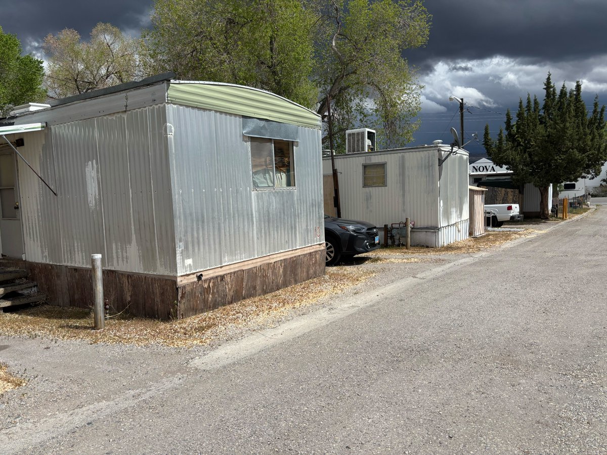 Kim Burrows tweet media