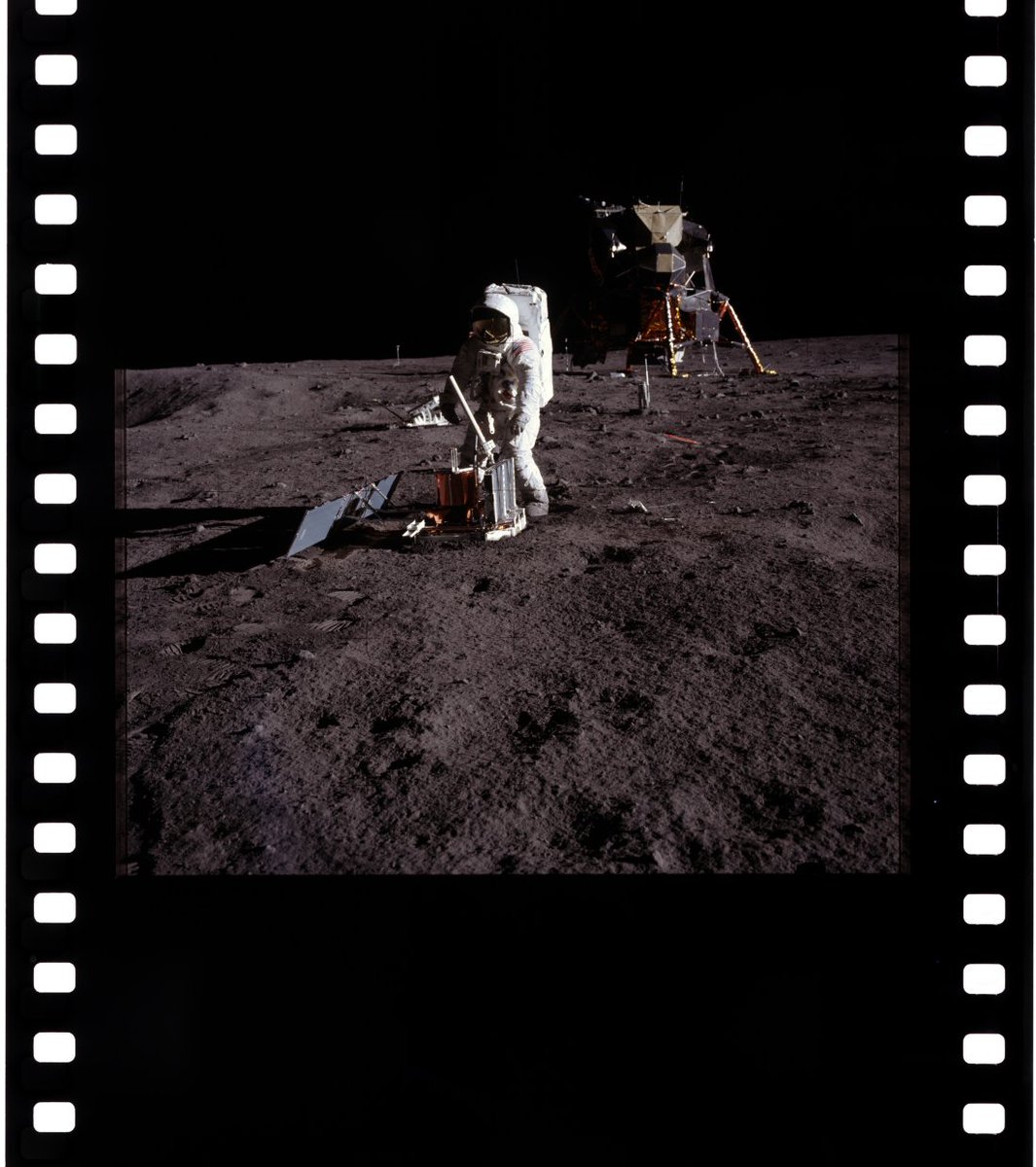 madi ☠︎ tweet media