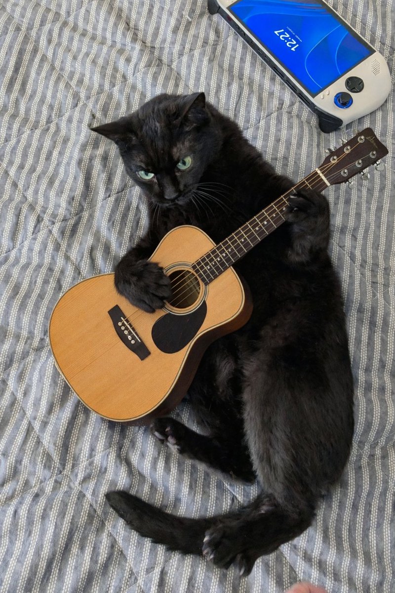 Helena Bali 🐈‍⬛ tweet media