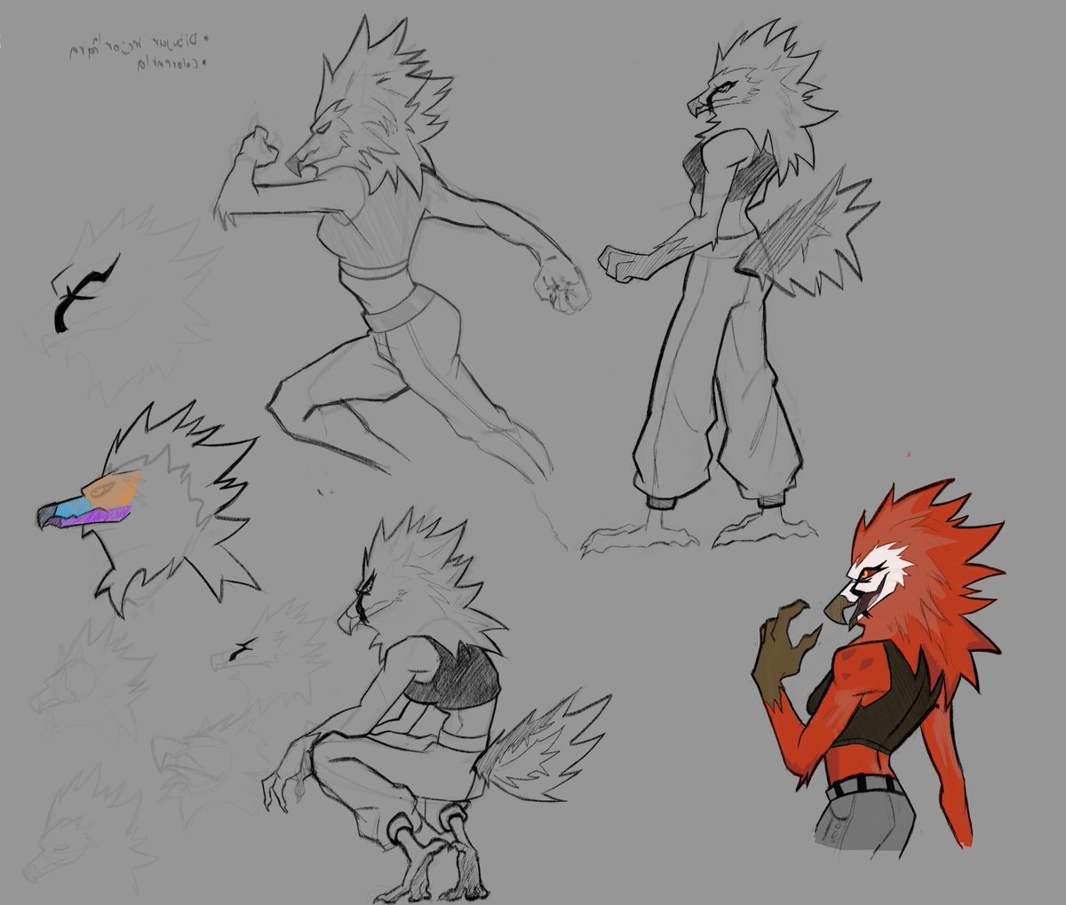 Manu ⭐ tweet media