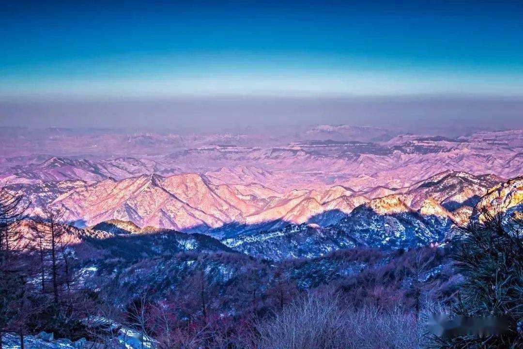 DA SILVA Céline tweet media