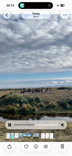 WritersGroups's tweet photo. my daughter &amp; I love yr books @HazelPriorBooks . She's on hols in  South America alone.  so proud of her. She vowed she would find penguins so we can send u a photo. Here it is. Today on a boat trip south of Punto Arenas (called "the end of the world") penguins wow https://t.co/Ly9xCEX6SX