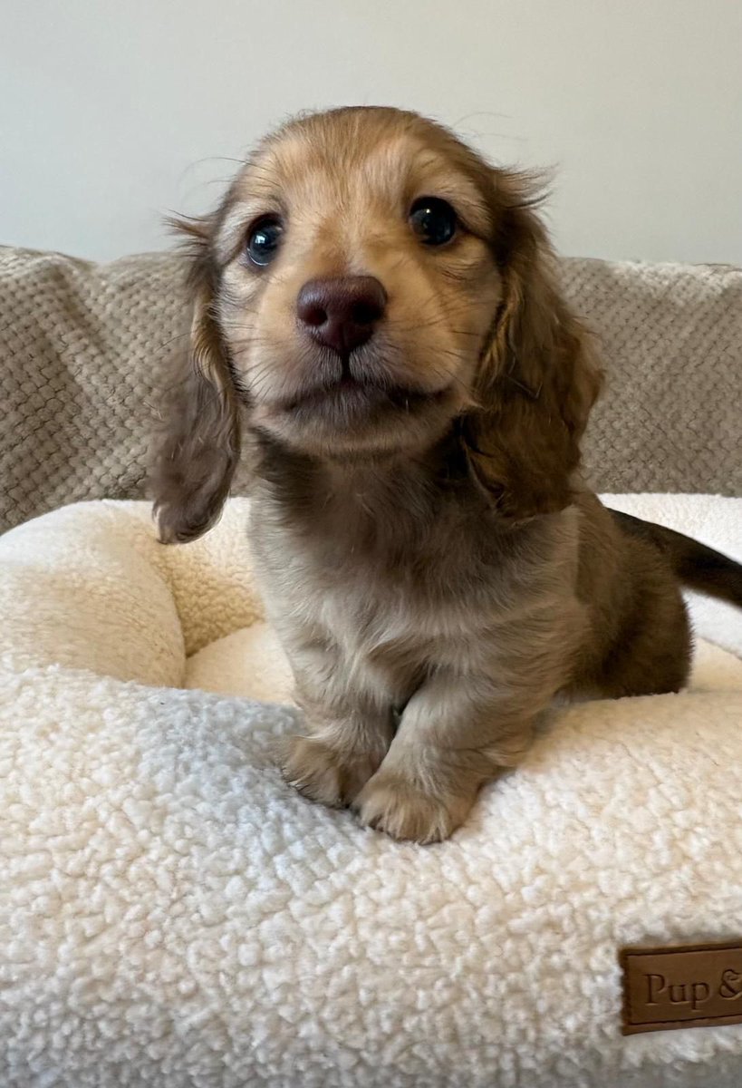 Kate Wilton tweet media