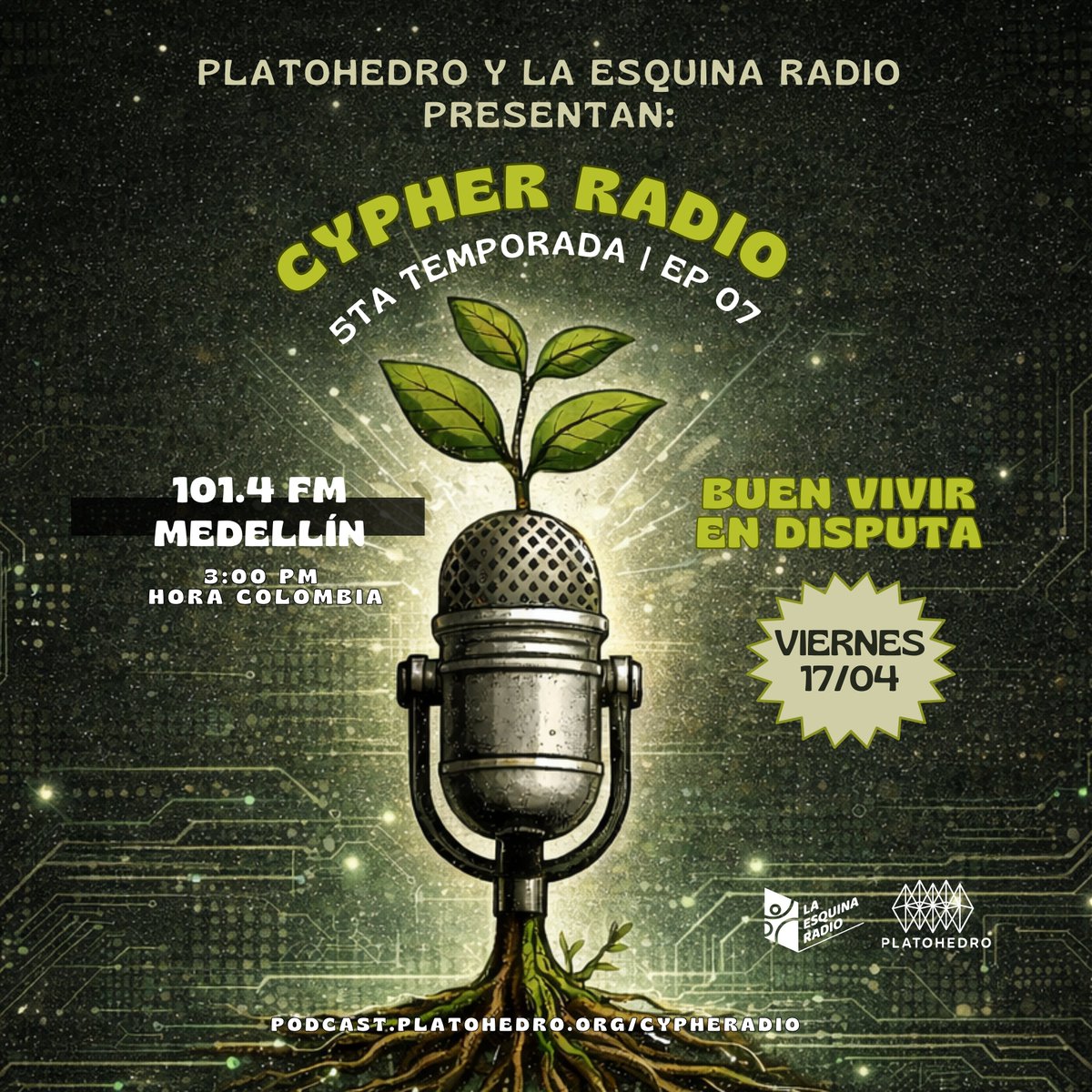 Platohedro tweet media