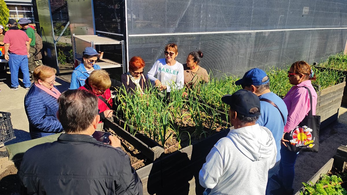Vivero Afandice tweet media