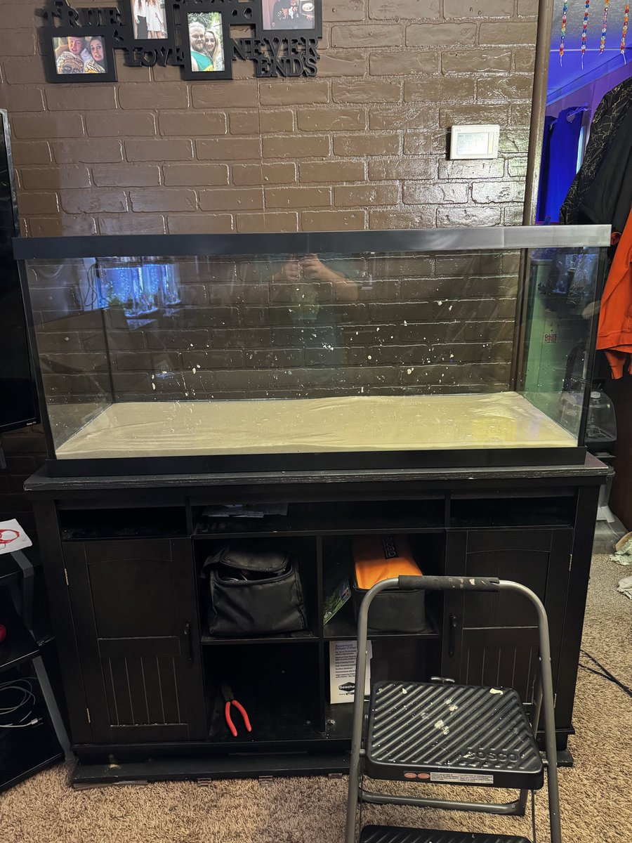 stayathomerocky's tweet image. Help me setup 75 Gallons?
🐟🐠🐡🎏💧💧💧💧💧

#fish #aquarium #glofish #angel #swim #stream #music #laugh #cry #gallons #sand #aquarist #fishtank #setup