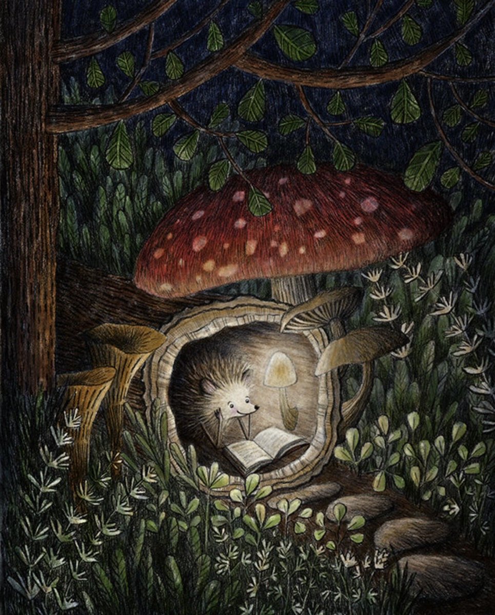Evenings are for reading

🎨 Deborah Hocking