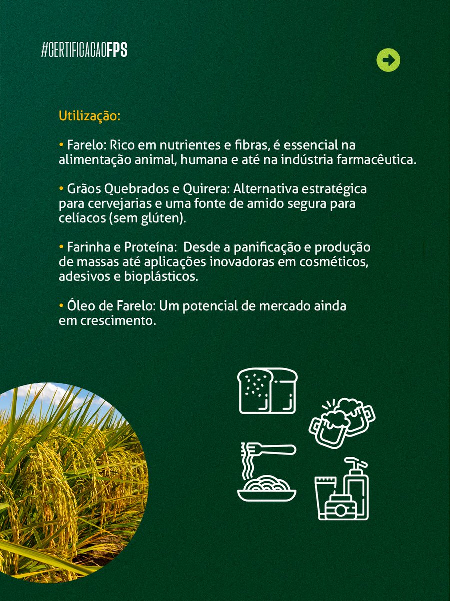fundacaops's tweet photo. Saiba como qualificar a sua produção de semente certificada de Arroz com nosso time.

Entre em contato e descubra como podemos agregar valor à sua produção!
Envie suas dúvidas pelo WhatsApp 54. 99227 4848 ou e-mail para certificacao@fundacaoprosementes.com.br https://t.co/Gn9Urrnooe