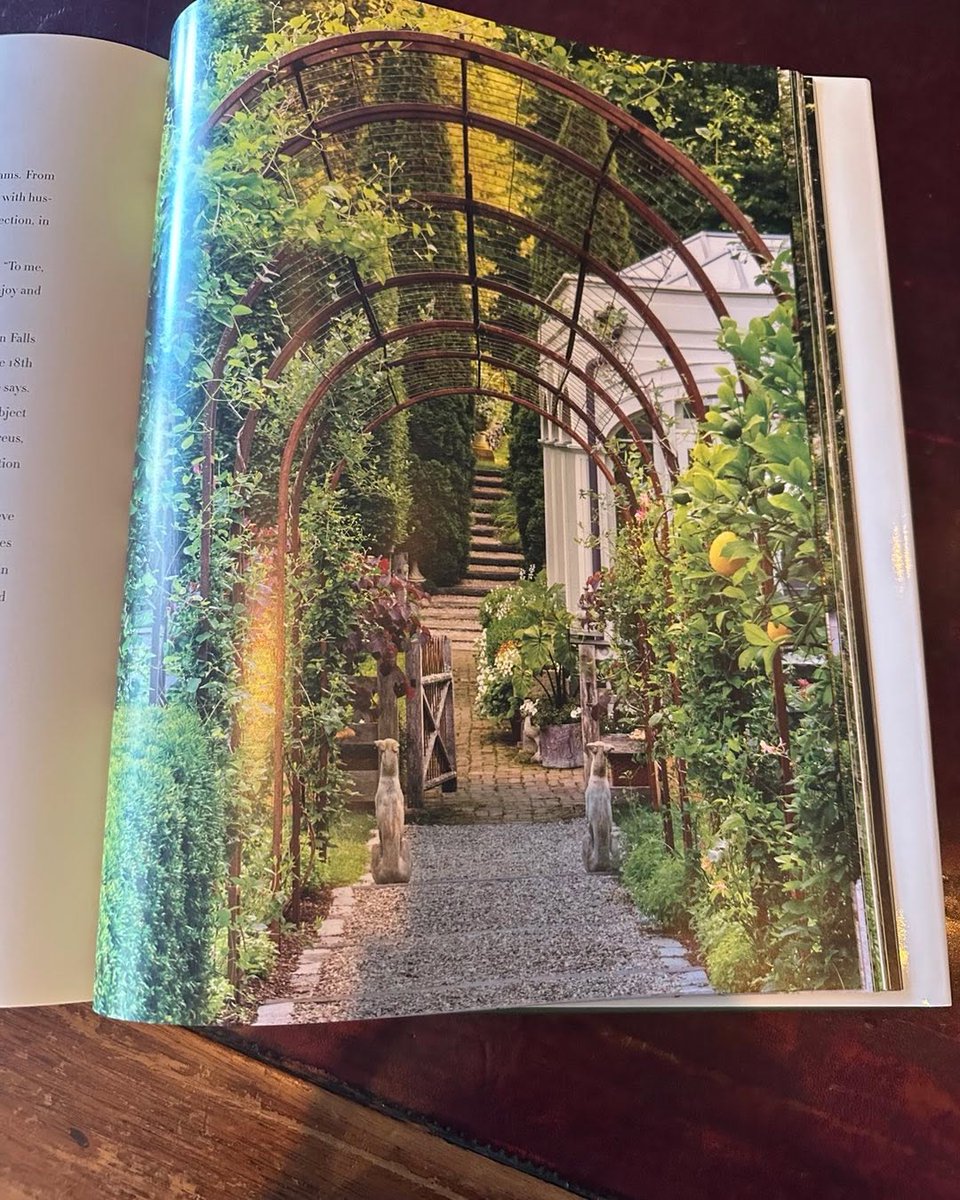 Bunny Williams tweet media