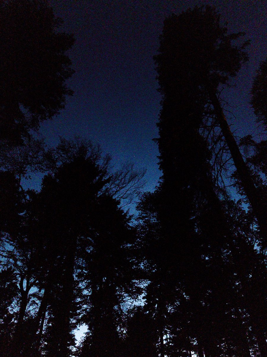 Gil Noh (노태길) tweet media