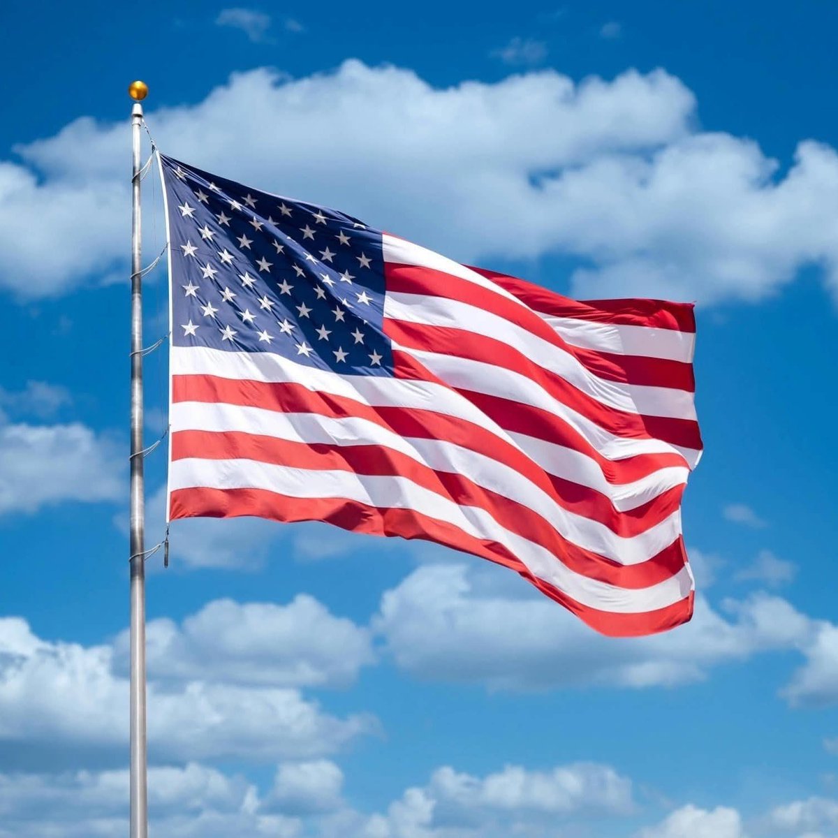 BITCOINLFG® tweet media